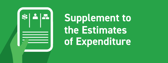 supplements to the estimates of expenditure banner
